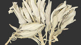 Two dried sage plants on a gray background