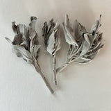 Three dried sage branches on a light beige background