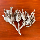 White Sage branches on a wooden surface