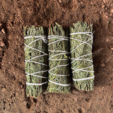 Three bundles of cedar tied with twine on a brown surface