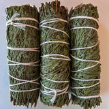 Three bundles of cedar tied together with twine on a light background