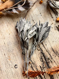 Loose White Sage Tops — Premium Salvia Apiana Flower Clusters | 1 lb or 5 lb