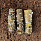 Eucalyptus Smudge Sticks 4 Inch | Respiratory Health & Clarity | 3 Pack