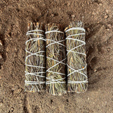 Three bundles of rosemary tied together on a sandy surface