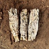 Three bundles of sage tied together on a sandy surface