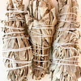 Three bundles of white sage tied together on a light beige background
