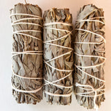 white_sage_smudge_stick_4 inch_white background