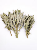 White Sage Tops on white background
