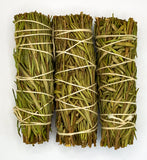3 rosemary smudge sticks on a white backround