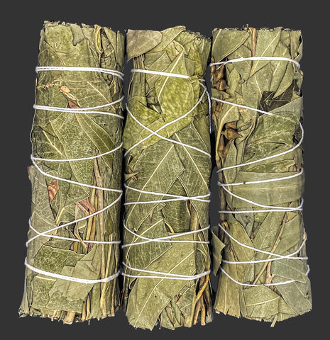 Three bundles of green leaves tied with white string on a dark background
