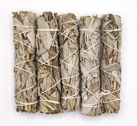 White Sage mini Smudge Stick (salvia apiana), 5 mini smudge sticks per order.