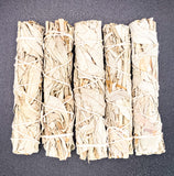 White Sage mini Smudge Stick (salvia apiana), 5 mini smudge sticks per order.