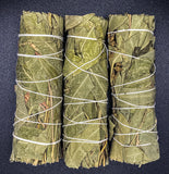 Eucalyptus 4-inch Smudge Stick, 3 Eucalyptus smudge sticks per order