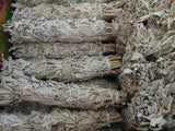 Large white sage smudge stick  #whitesage