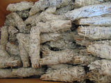 Medium White Sage Smudge Stick #sage