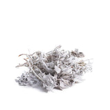 White Sage Dry Loose Tops 1-Pound (Salvia apiana)