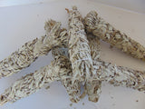 Large white sage smudge stick  #whitesage