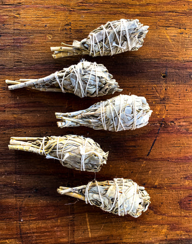 White Sage Torch Smudge Stick (Salvia apiana), 5 smudge sticks