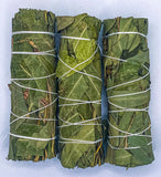 Eucalyptus 4-inch Smudge Stick, 3 Eucalyptus smudge sticks per order